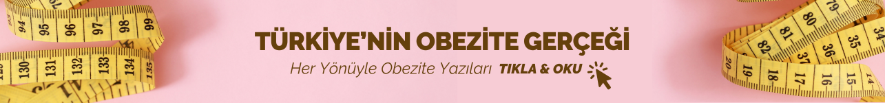 header altı