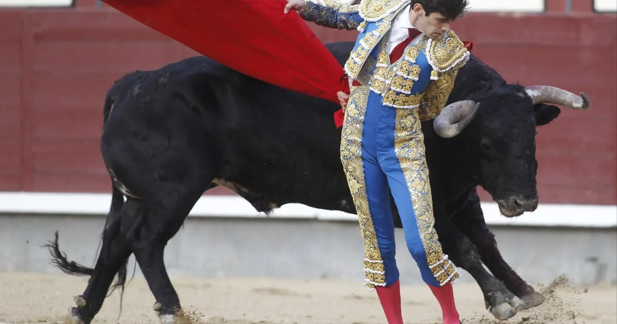 Şimdi matador düşünsün