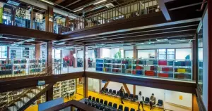 Bilgi Üniversitesi’nin kapatılmasının ardından