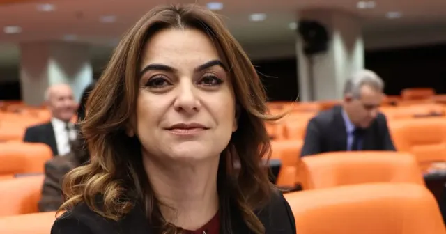 DEM Parti'den Çerçeve Yasa Açıklaması: Silahların Devreden Çıkarılması Hukuki Güvenceye Bağlanmalı