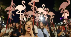 Flamingolar otokratlara karşı*