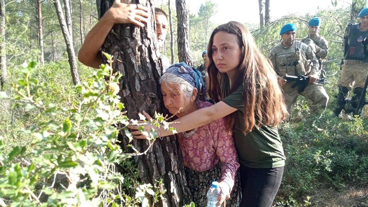 Akbelen Ormanı katili YK Enerji’yi kim koruyor?