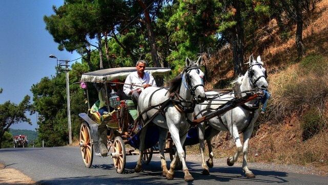 Adalılar deklarasyon yayımladı: ‘Faytonu özledik’