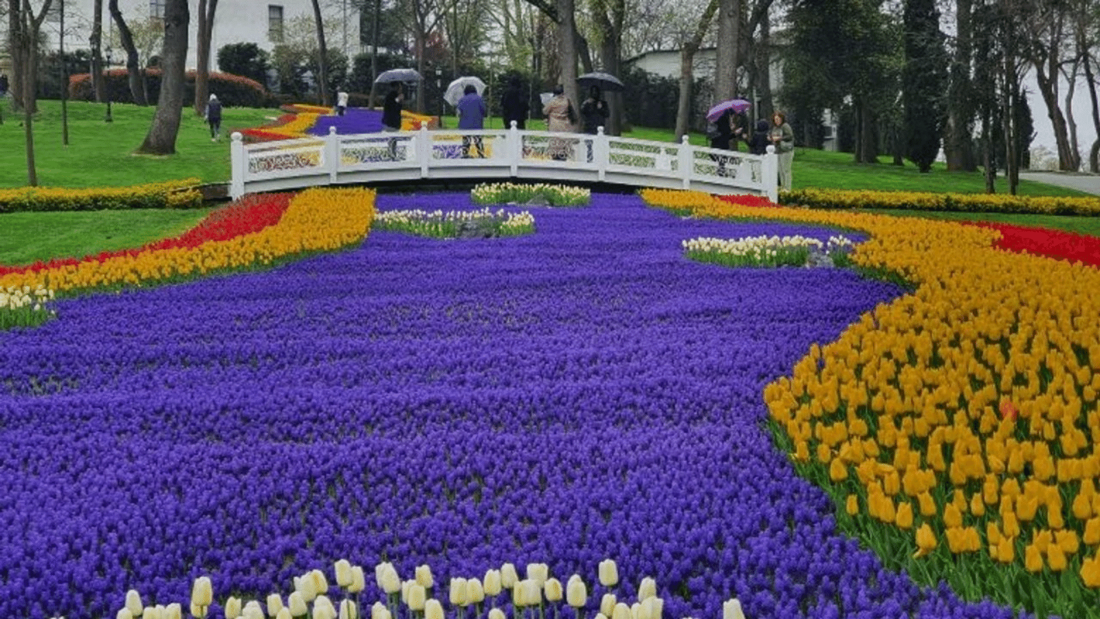 İstanbul Lale Bayramı başlıyor