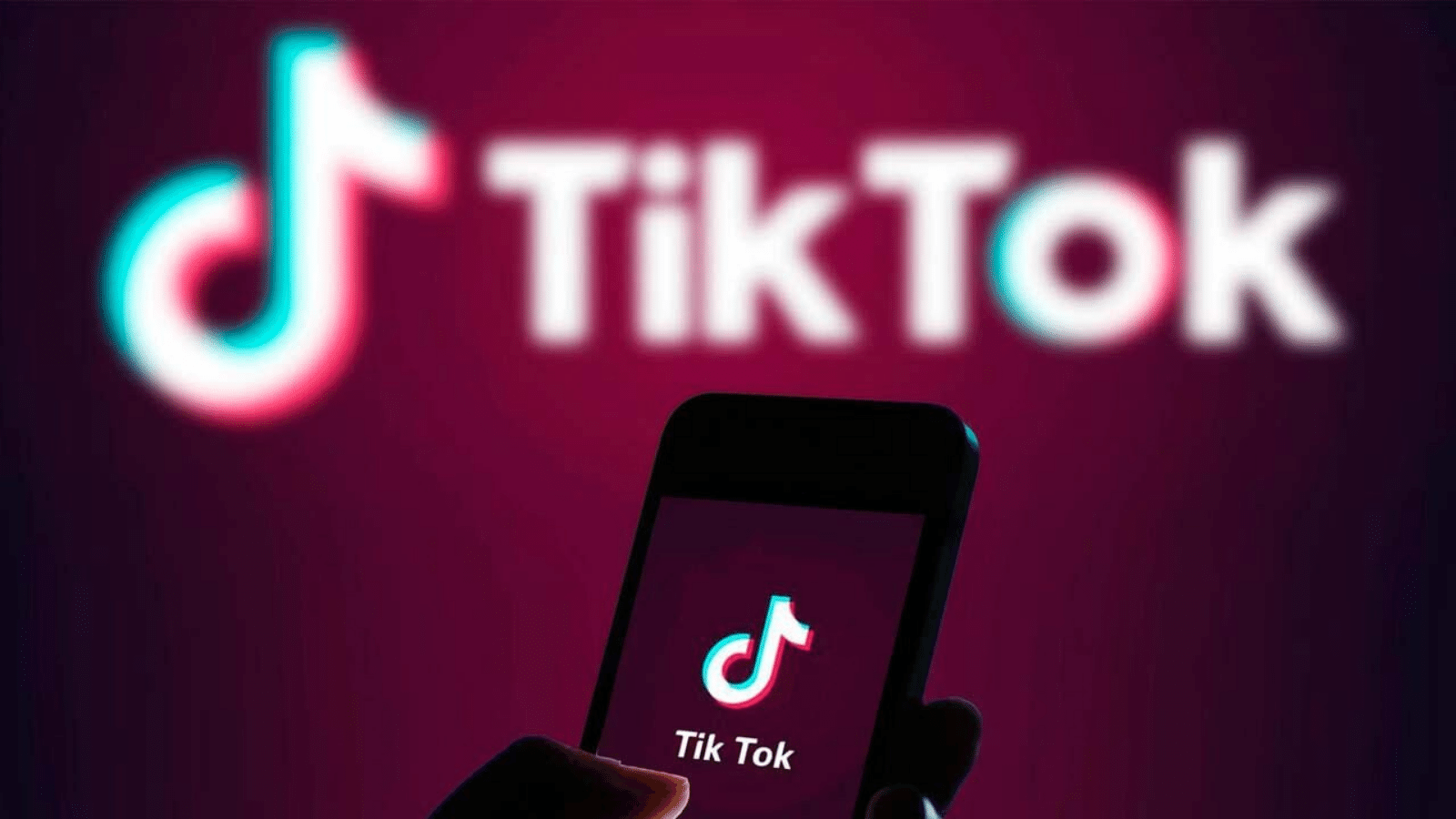 TikTok uygulamasının kapatılması için MHP'den kanun teklifi