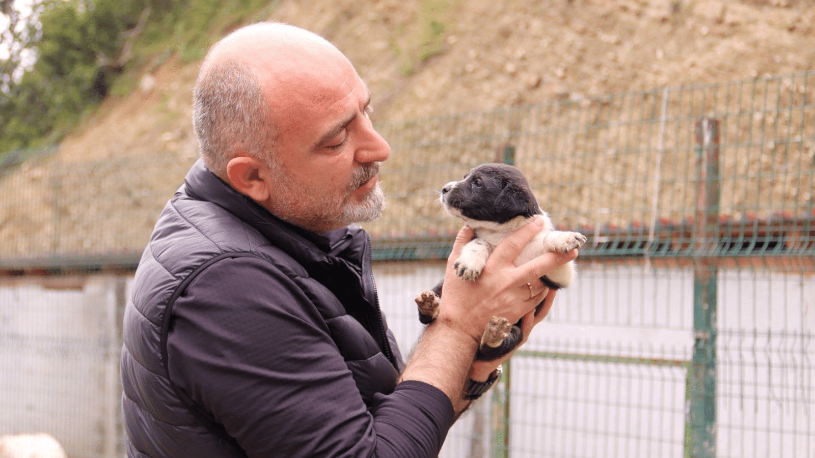 Hopa Belediyesi 'kısırlaştırma' seferberliğine başladı