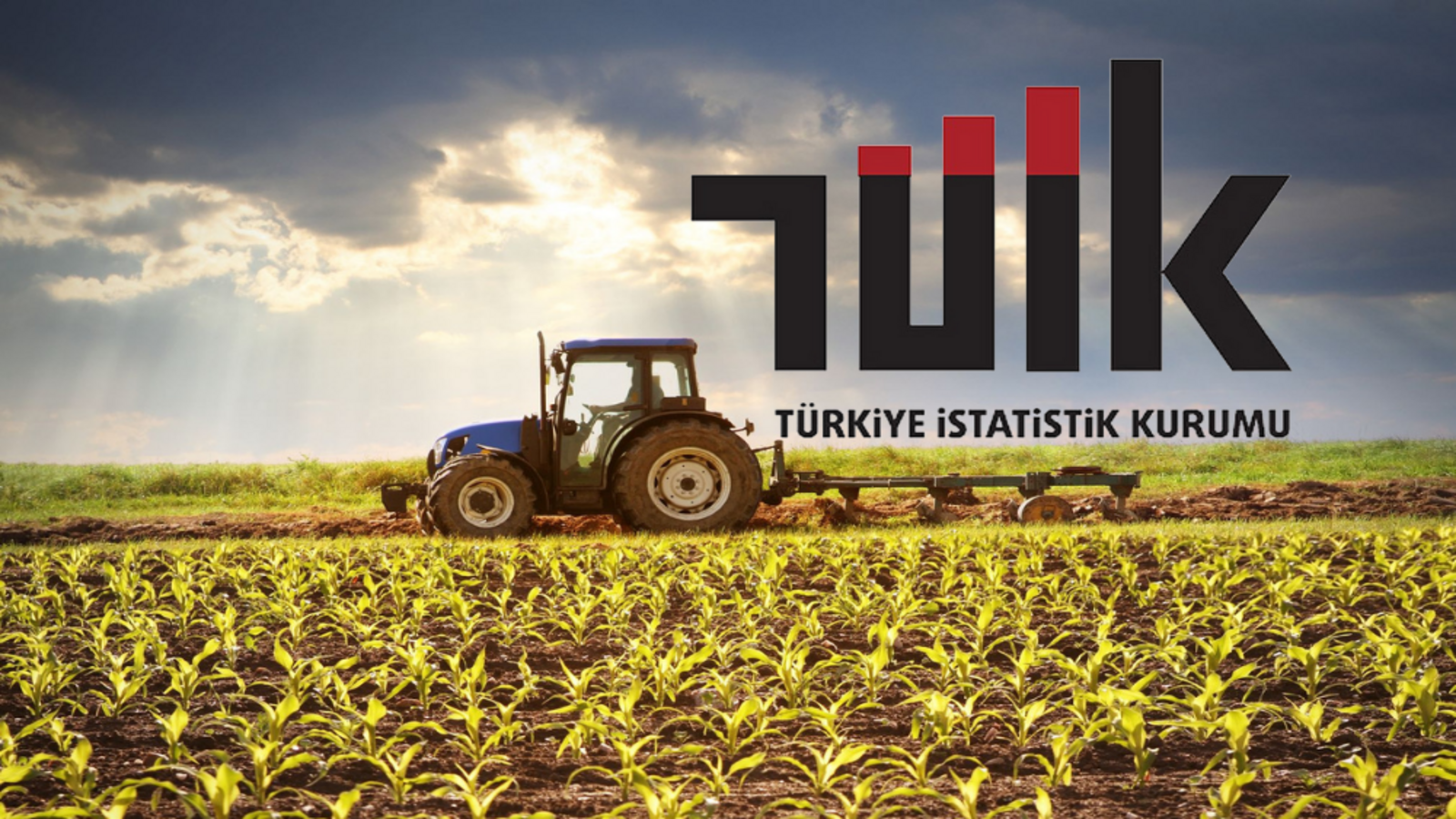 TÜİK, tarımsal girdi fiyat endeksini açıkladı