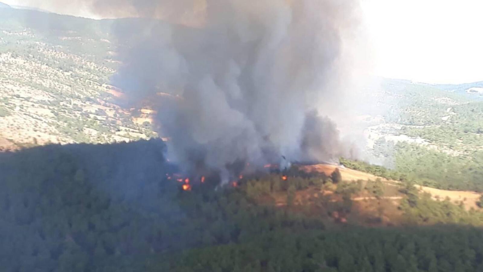 Çanakkale'de orman yangını