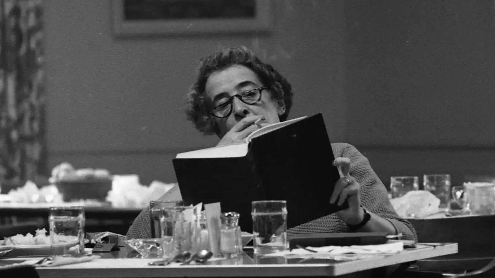 Hannah Arendt felsefesine karşı