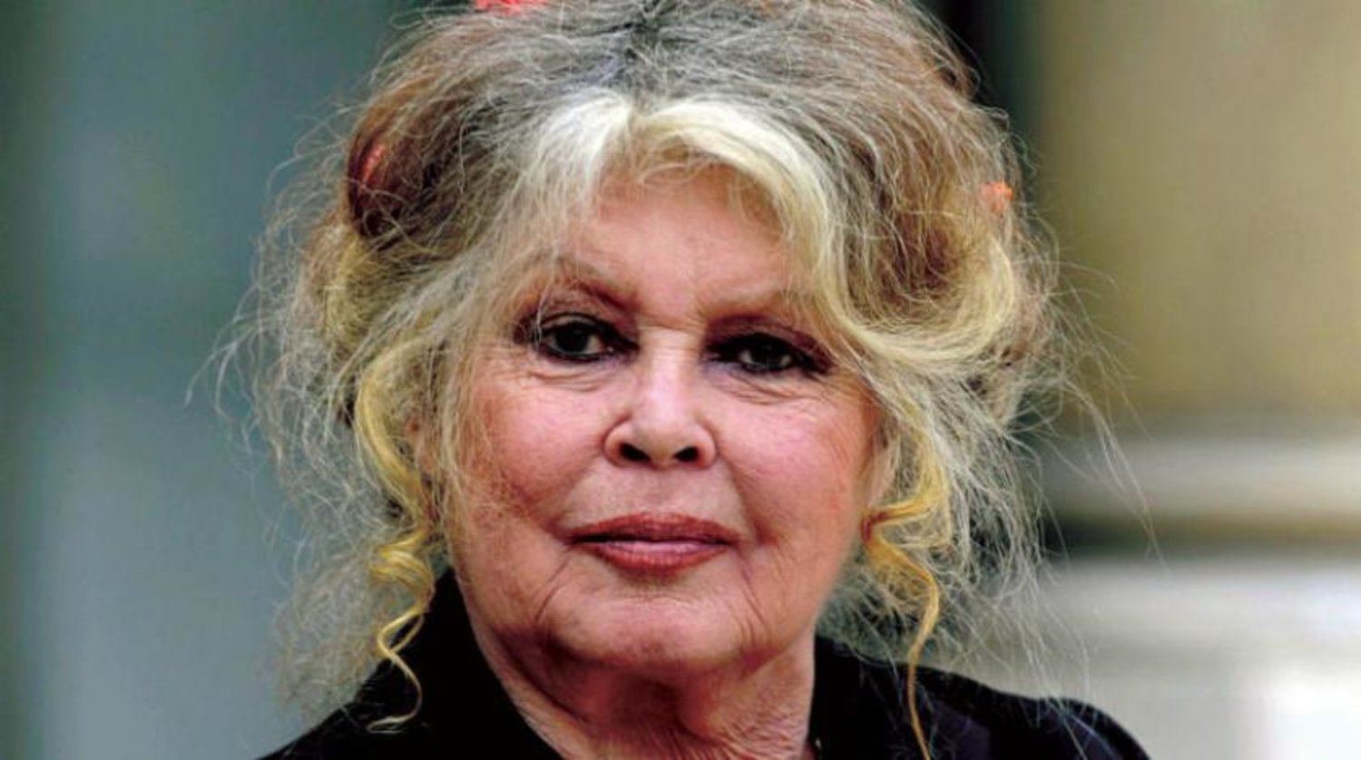 Brigitte Bardot, sokak hayvanları için Erdoğan'a mektup yazdı