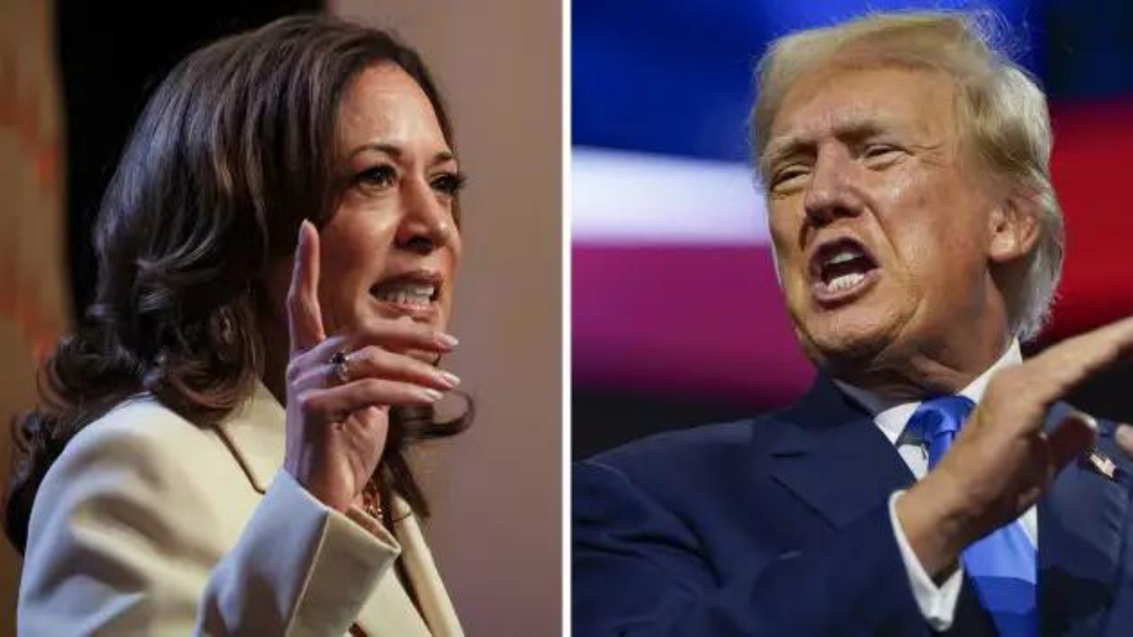 Trump ve Harris: Almanya’nın beklentileri, korkuları