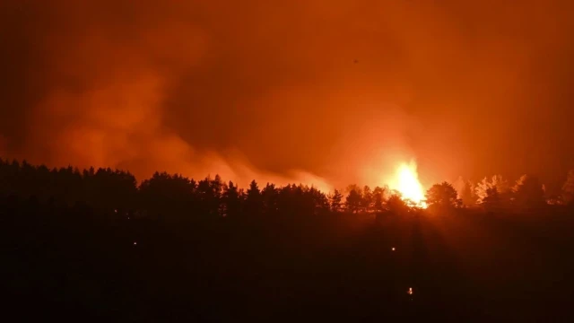 Ankara-Bolu sınırındaki orman yangınıyla ilgili 1 şüpheli gözaltında