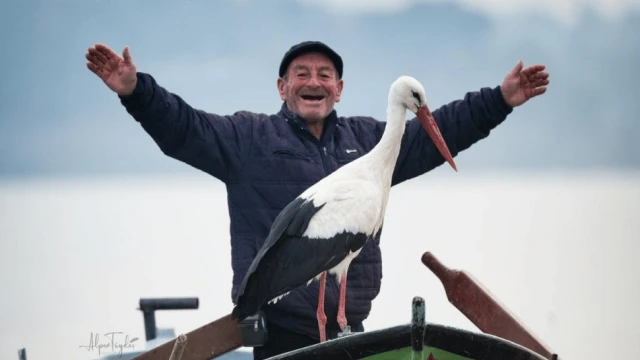 Mart ayında gelen "Yaren" leylek göç yoluna çıktı