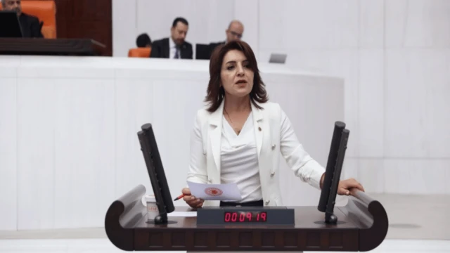 Gülcan Kış: "İşgücü Uyum Programı, okullarda ciddi bir hijyen krizine yol açacak"