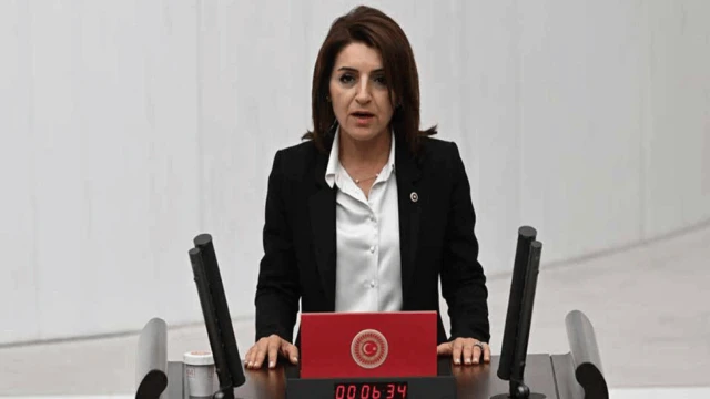 Gülcan Kış: "Kadın cinayetlerinin önünü açan bireysel silahlanmayı önlemek için planınız var mı?"