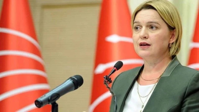 Selin Sayek Böke'den tüzük açıklaması: Kural neyse ona uyarız