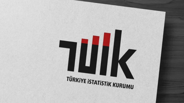 TÜİK, girişim özelliklerine göre dış ticaret istatistiklerini yayınladı