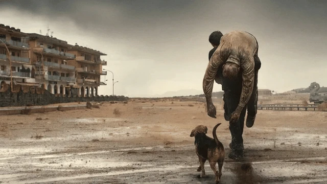 Dünyanın bütün köpekleri ısırın