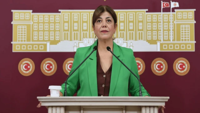 Meral Danış Beştaş: "Cezasızlık politikası, erkek egemen anlayışla birleşince kadınlara ölmek düşüyor"