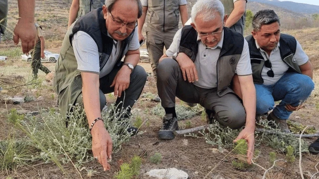 Orman Genel Müdürü Bekir Karacabey Denizli'deki orman yangınına ilişkin açıklama yaptı