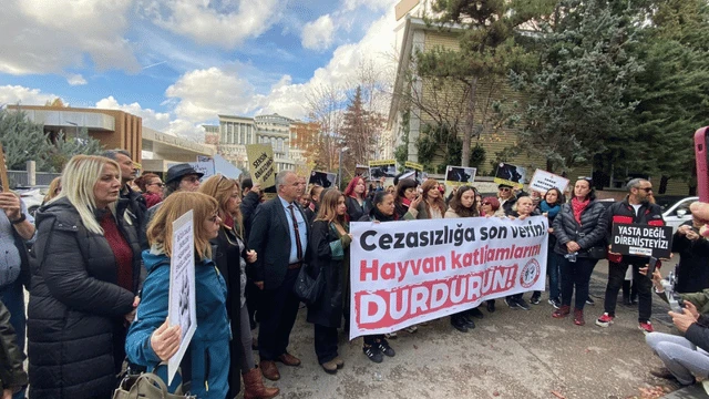 Ankara Barosu Hayvan Hakları Merkezi, Sokak Hayvanları Yönetmelik taslağını protesto etti