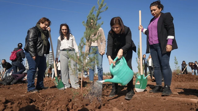 Katledilen kadınlar için Diyarbakır’da 80 fidan dikildi