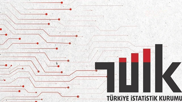 TÜİK, 2023 Sanayi Sektörü Nihai Enerji Tüketim Araştırması sonuçlarını yayınladı