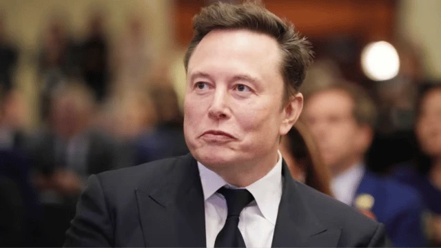 Elon Musk’ın AfD destekli makalesi tepki çekti