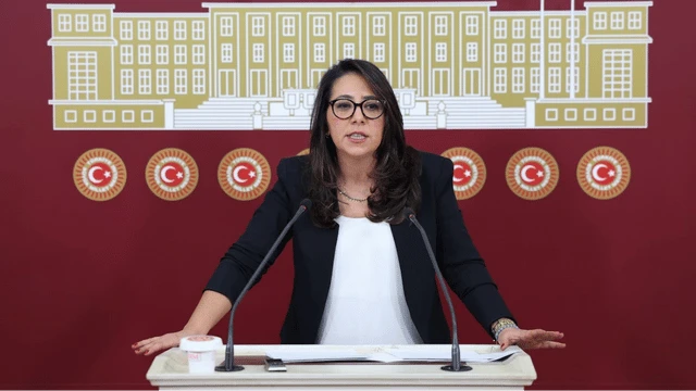 Sera Kadıgil: "Bütün özel hastanelerin kamulaştırılmasını ve paralarının da Sağlık Bakanlığı bütçesine ayrılmasını teklif ediyoruz"