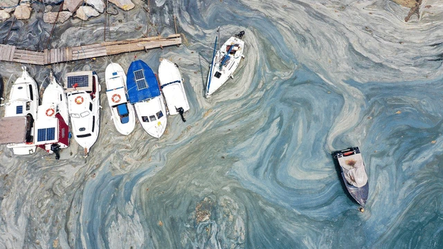 Su şehrin geçmişi ve geleceği ile ilgili hayati bir sırrı gizliyor 