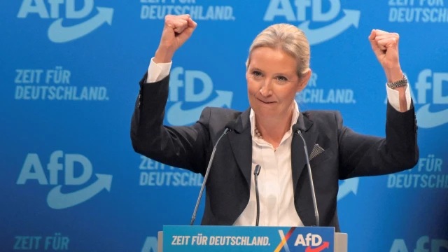 Irkçı parti AfD'nin seçmenleri tepkili mi faşist mi? 