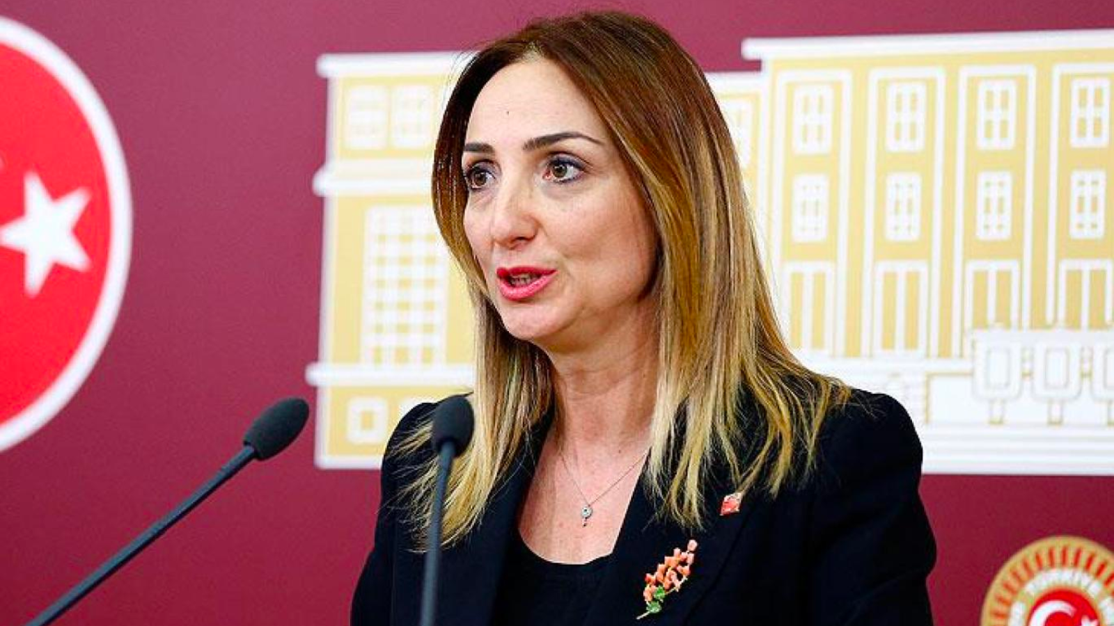 Aylin Nazlıaka: Medeni kanunu silmek isteyenleri siyasetten sileceğiz