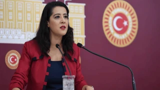 Sevda Karaca, Bakan Tekin için tek soruluk önerge verdi