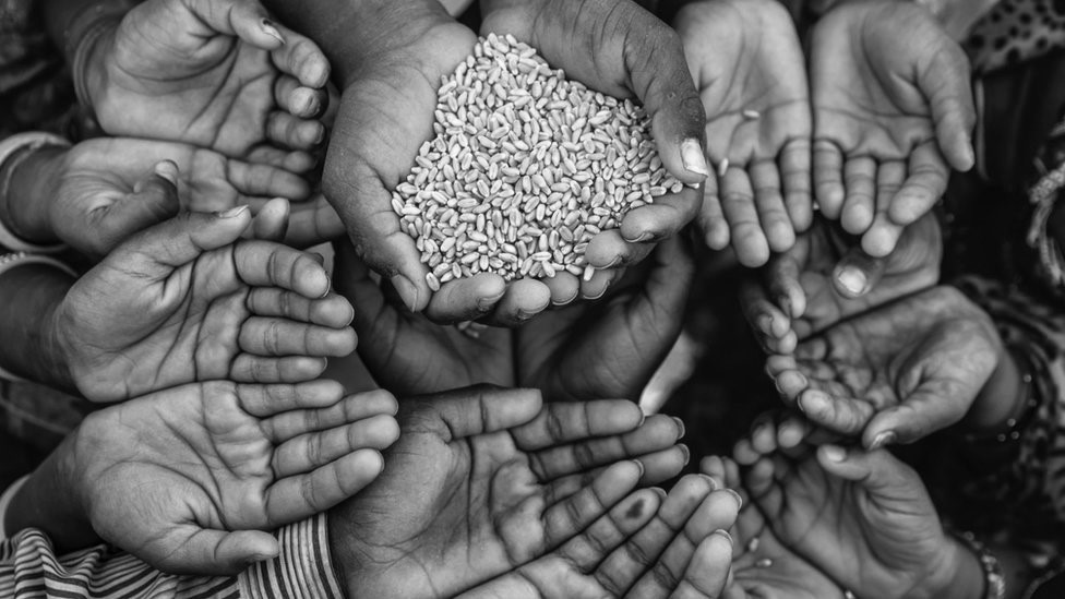 Yoksulluğun gölgesinde temel haklar: Gıdaya erişim krizi