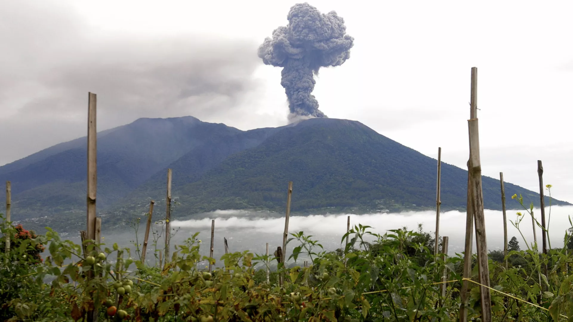 Endonezya Yanardağı patlaması: Yüzlerce kişi tahliye edildi