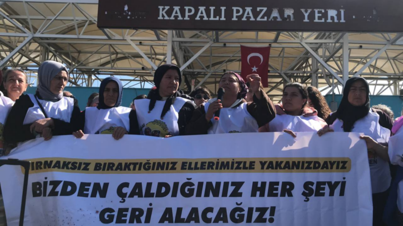 “Agrobay İşçileri” hakları için Bergama’dan Ankara’ya yürüyor