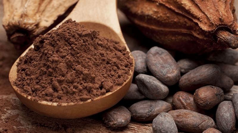 Kakao fiyatlarında yükseliş devam ediyor