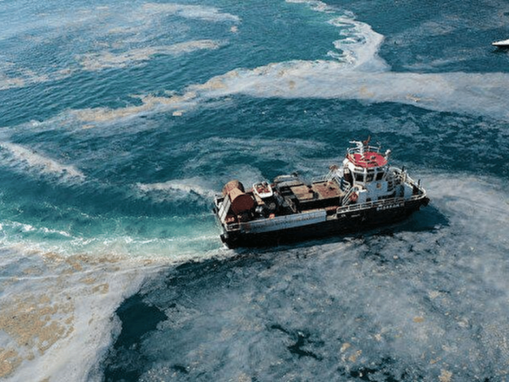 Yılda 50 bin gemi Marmara Denizi’ni nasıl kirletiyor?