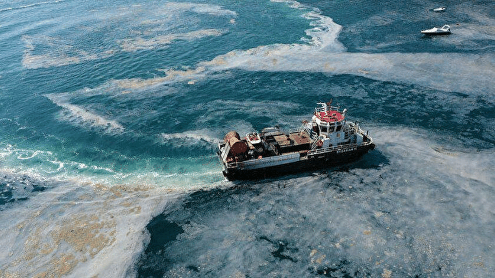 Yılda 50 bin gemi Marmara Denizi’ni nasıl kirletiyor?