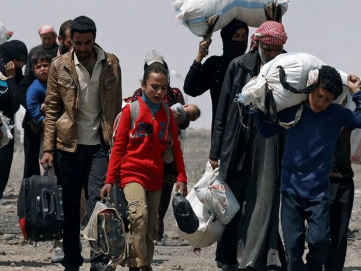 Uluslararası Göç Örgütü: “En fazla mültecinin olduğu ülke Türkiye”