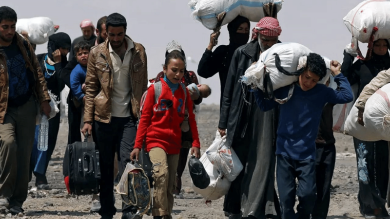 Uluslararası Göç Örgütü: “En fazla mültecinin olduğu ülke Türkiye”