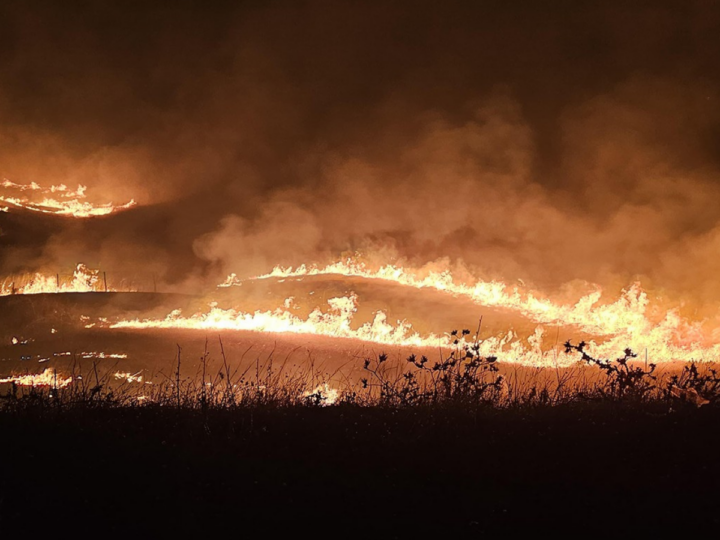‘Becerikli Abdullah’tan’ orman yangınına uzanan bir AKP dönemi portresi