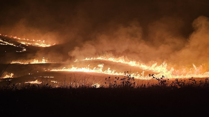 ‘Becerikli Abdullah’tan’ orman yangınına uzanan bir AKP dönemi portresi