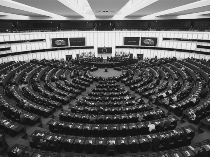 Avrupa Parlamentosu seçimleri ve Avrupa’nın geleceği
