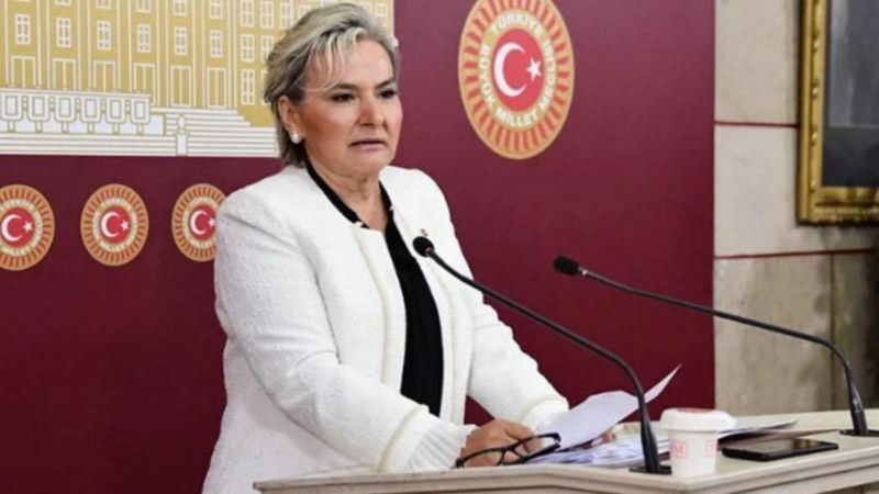 Nimet Özdemir, İYİ Parti’den istifa etti